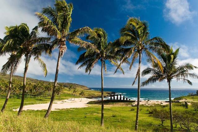 ساحل آناکنا