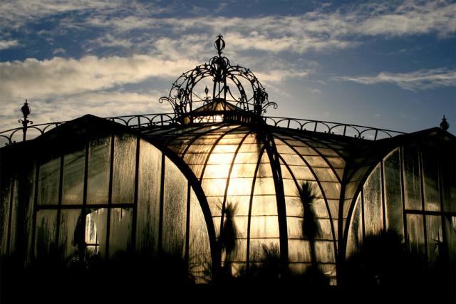 باغ گیاه شناسی مز