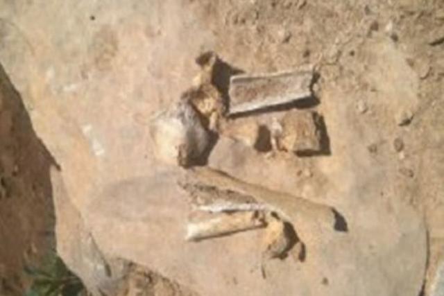 قبرستان دنای شرقی