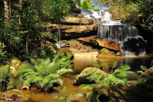 پارک ملی فو کرادوئنگ