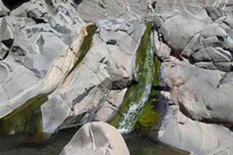 چشمه آبگرم گرج