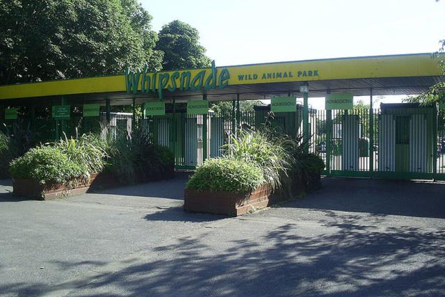 Whipsnade Zoo