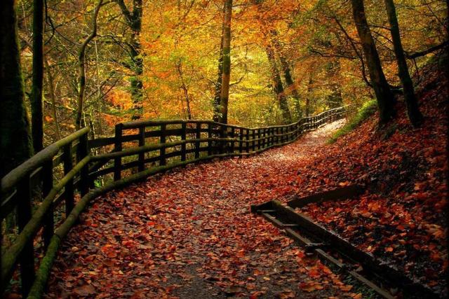 پارک ییلاقی کالدرگلن 