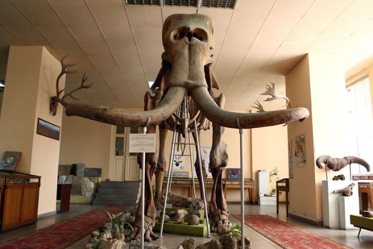 موزه زمین‌ شناسی ارمنستان