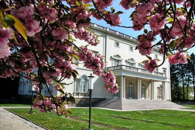 محوطه سلطنتی بلگراد (رویال کامپوند)