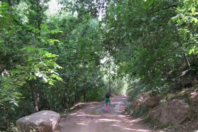 2018-12-62e13d38-21f7-4271-8c85-e4aa32bc284e