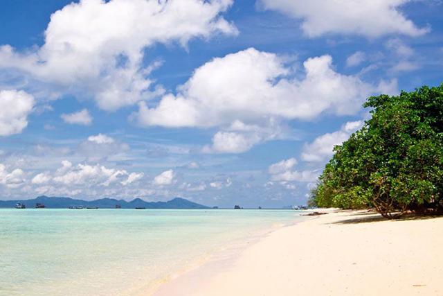 2018-12-bb6057a3-7431-4ff2-896a-a0c91c6ef1bb