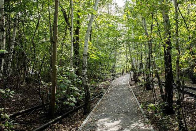 2018-12-5688b936-868a-4a9e-b6e9-66b6bcdc2faa