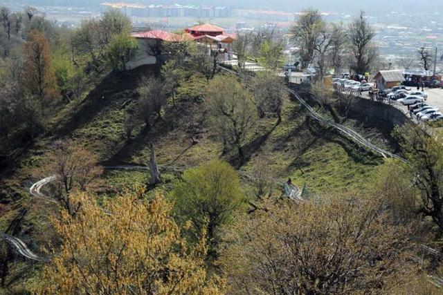 پارک جنگلی سیاه داران