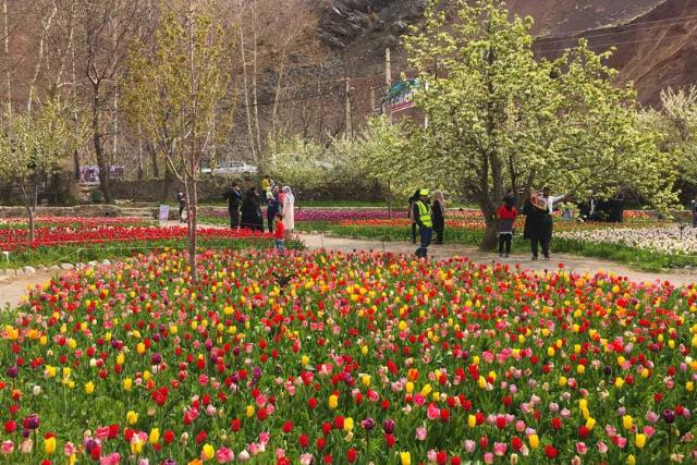 باغ لاله گچسر