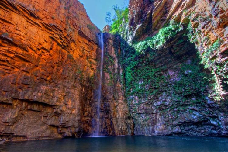 پارک وحش ال کوئسترو