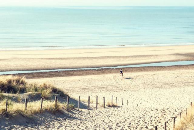 ساحل نوردویک آن زی