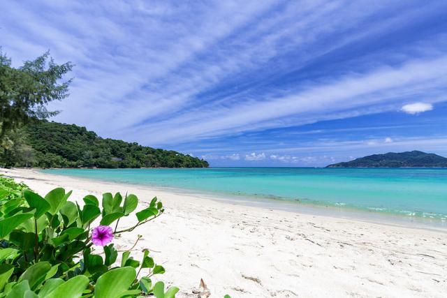 ساحل تری ترانگ