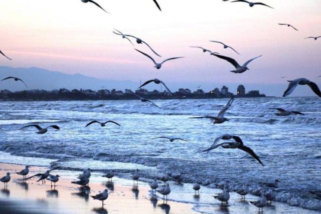 منطقه نمونه گردشگری سیترا