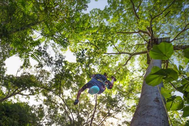 زیپ لاین فلایینگ هانومان