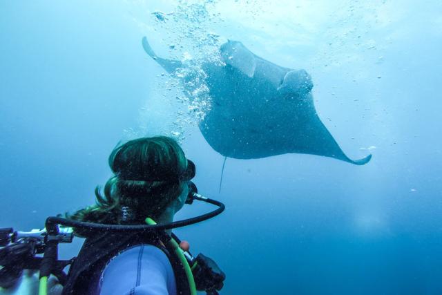 مانتا پوینت