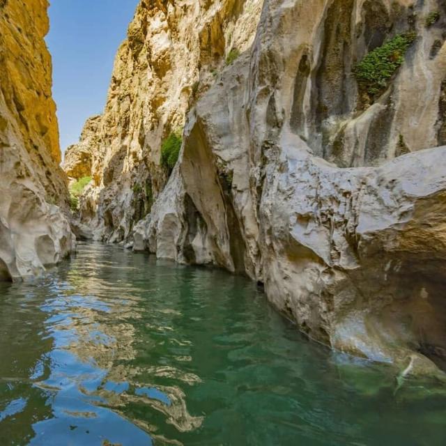 تنگ شگفت‌انگیز لی لی