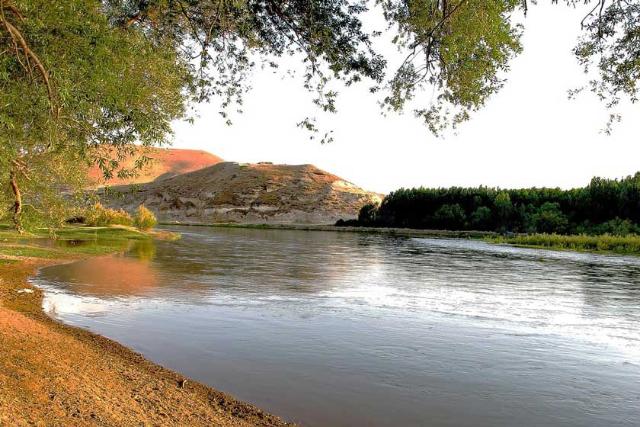  زرینه رود 