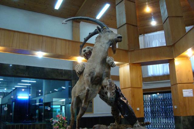 موزه میرزا بایلو