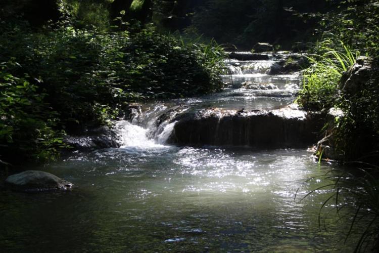 چشمه اشکان
