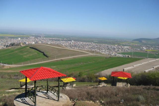 پارک زیتون تپه