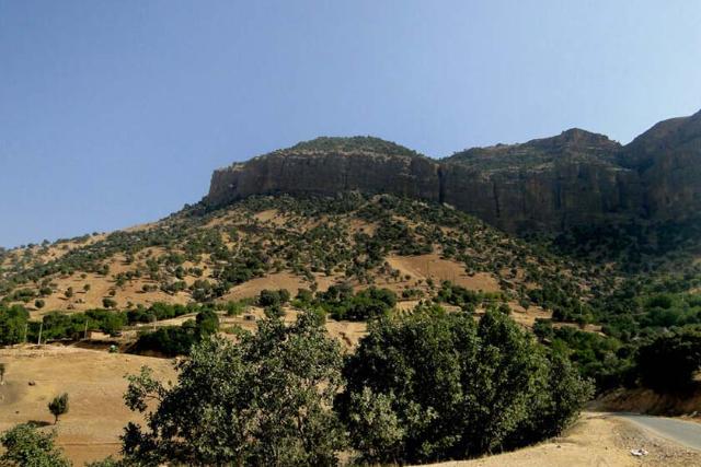 پارک جنگلی شیاسی