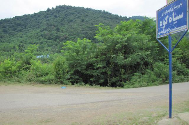 پارک جنگلی سیاه کوه