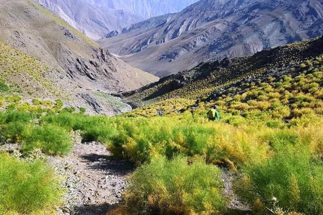 روستای لالون