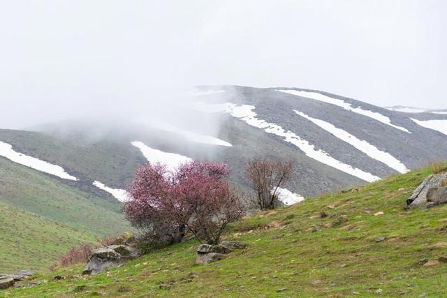 کوه سلطان یعقوب