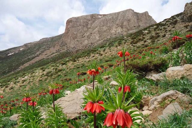 دژ قلات شاه