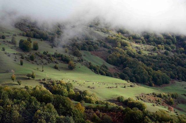 منطقه ییلاقی خورگام