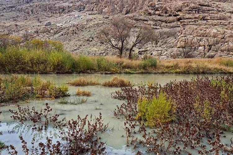 گردشگاه نازلو