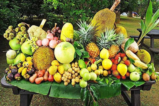 مزرعه میوه های استوایی