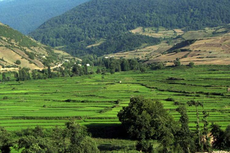 روستای چناربن زارم