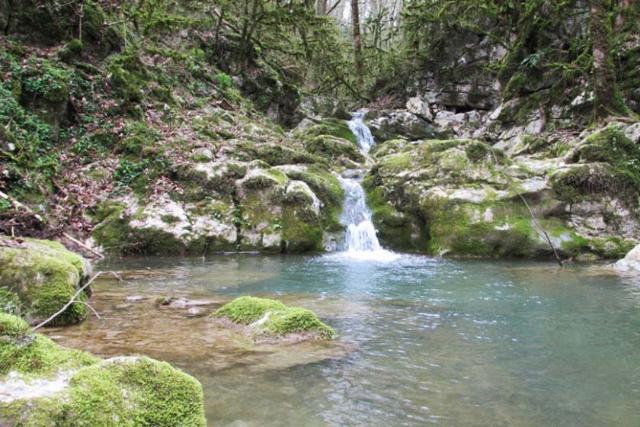 پارک جنگلی خانیکان (جنگل نیرنگ)