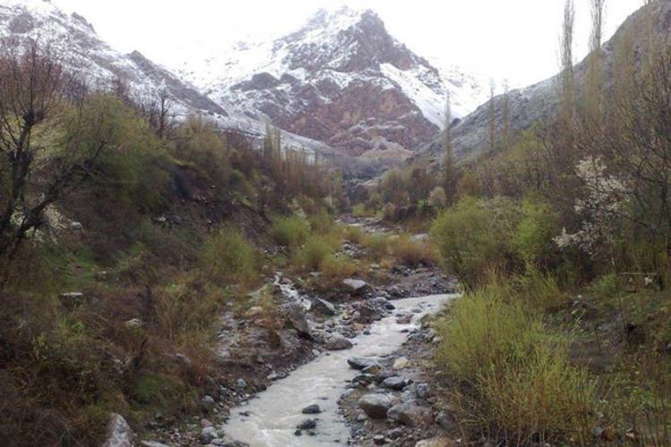 چشمه‌ الله بلاغی