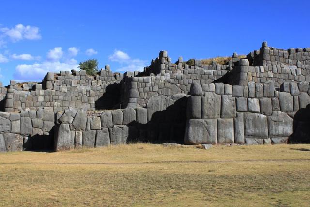 ساکسی هیومان