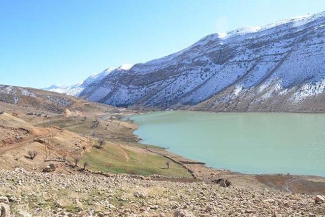 دریاچه مور زرد