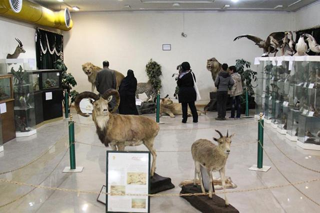 موزه تاریخ طبیعی اردبیل