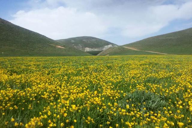 روستای گردشگری لرد