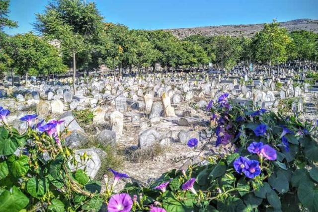 قبرستان سفید چاه در طبیعت شمال