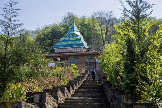 شیخ زاهد گیلانی در میان مزارع چای