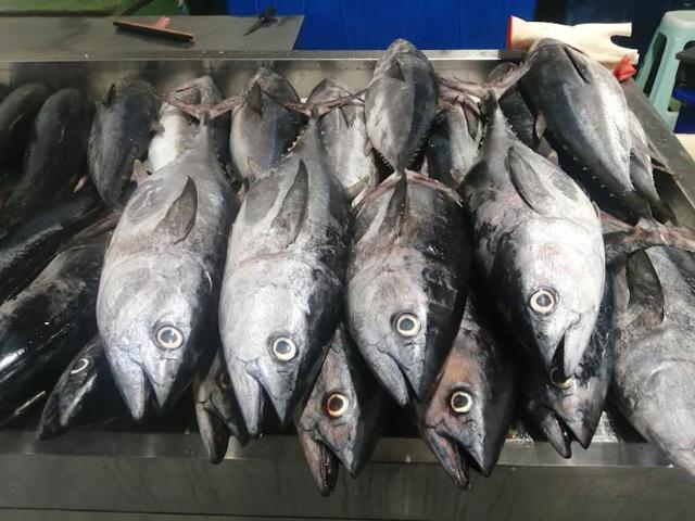 فروش انواع ماهی در بازار ماهی‌فروشان بندر عباس