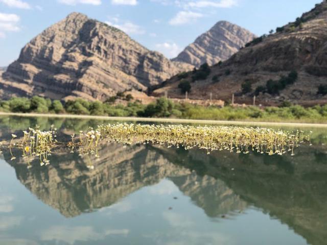 انعکاس طبیعت در تالاب دشت شیمبار