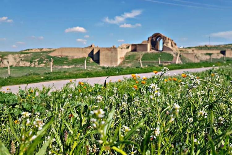 کاخ آشور در عراق