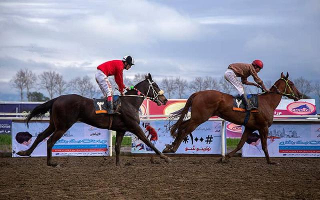 مجتمع اسب‌‌سواری گنبد