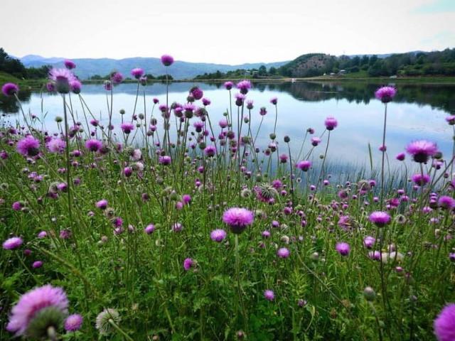 دریاچه عروس در فصل بهار