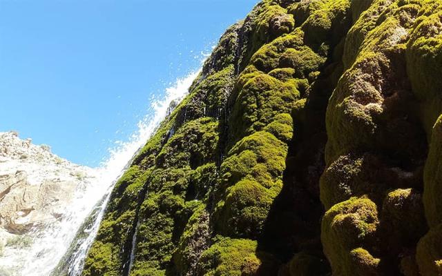 آبشار پونه زار