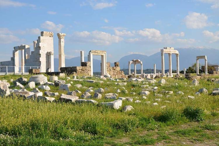 ستون‌های بازمانده در شهر باستانی لائودیکیا