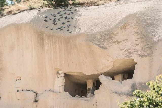 کبوتران در دره کبوتر